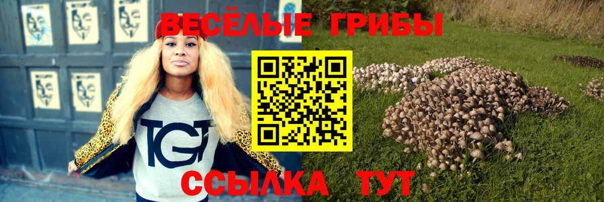 Псилоцибиновые грибы Psilocybe  Вход с VPN  Шахты 